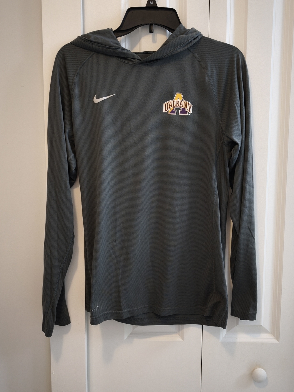 Mens Nike Dri-Fit UAlbany Hoodie